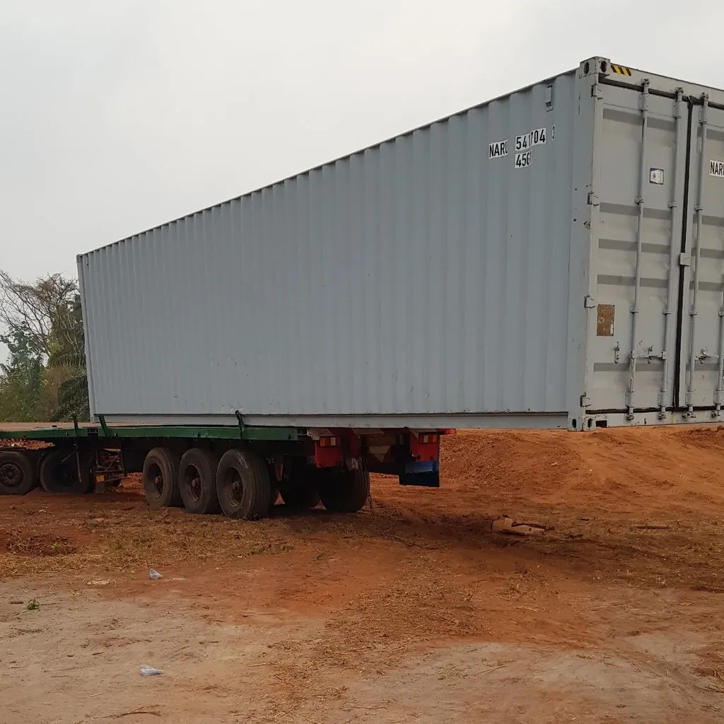 As there was no crane, the container was to be unloaded the African way: tie it to a tree with two chains and the truck