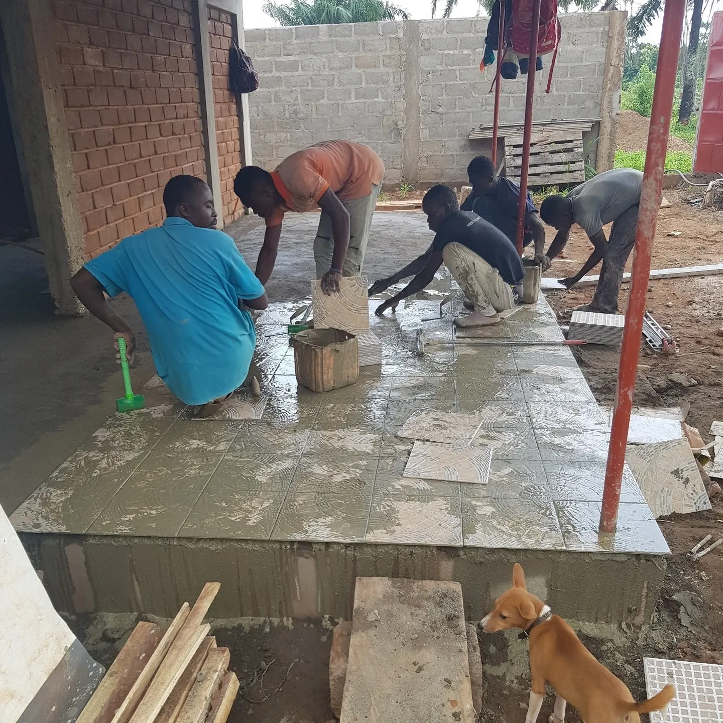 The tiles are laid in cement slurry on the fresh screed