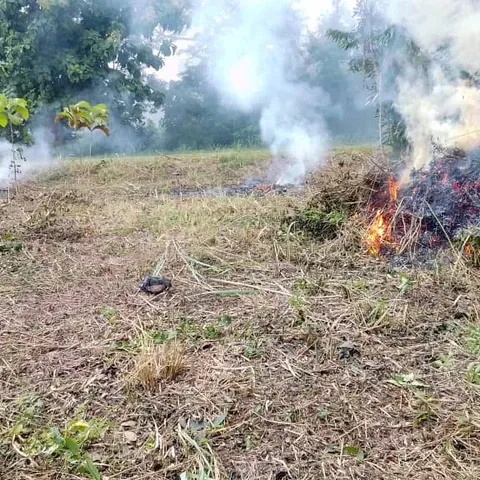 4 August 2021: clearing of the site continues