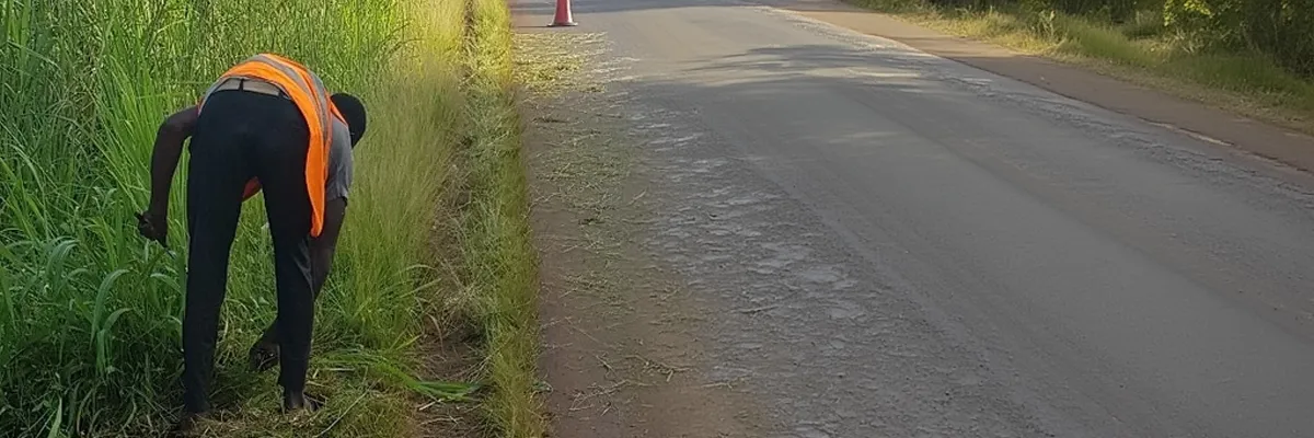 Même les bords de route sont entretenus à la main