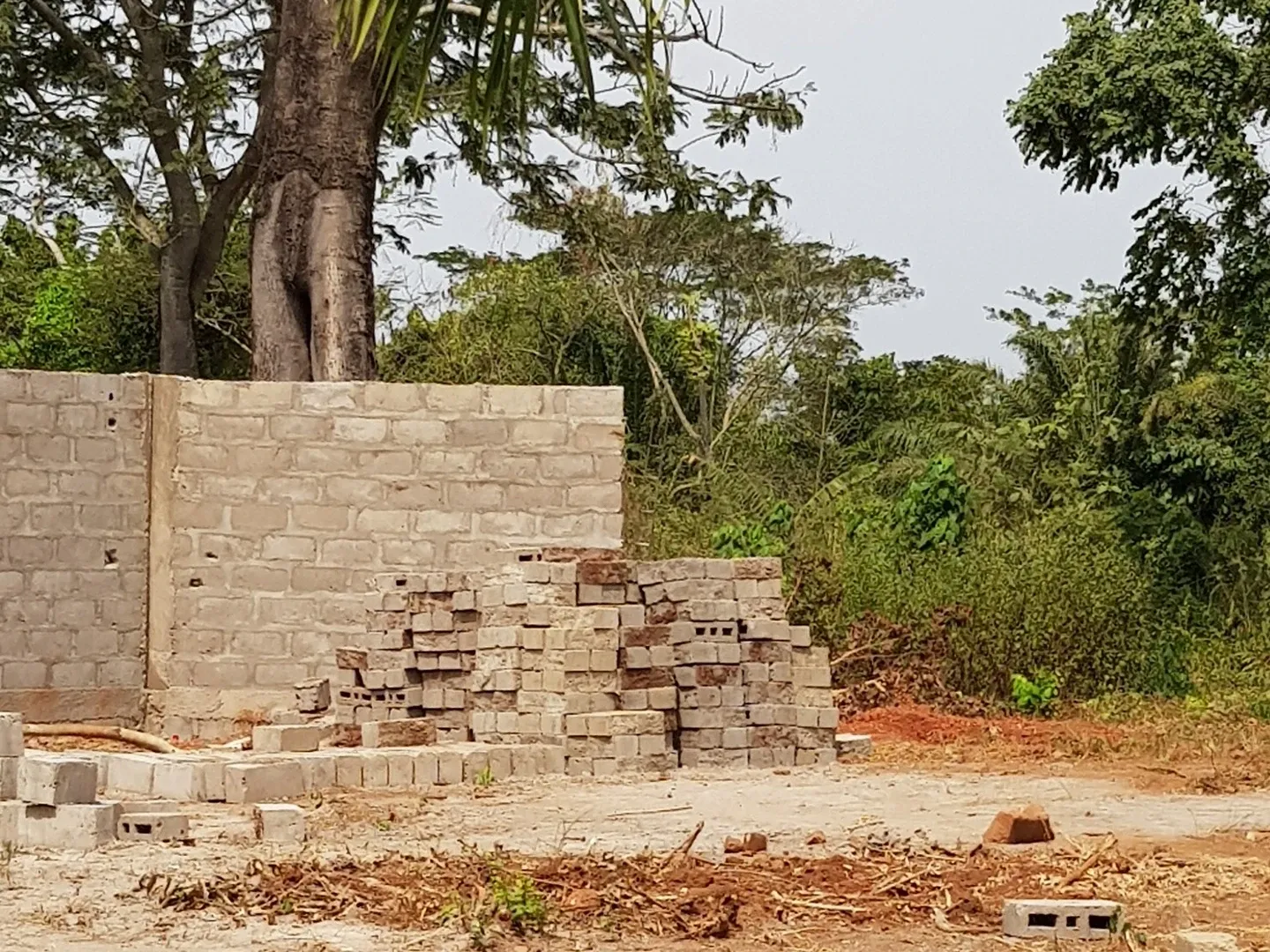 The wall is largely finished