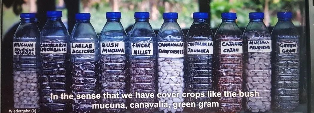 Seed of various legumes and other plants grown and tested on the farm in Ghana