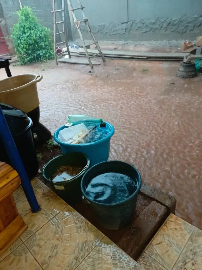 Our terrace, surrounded by water